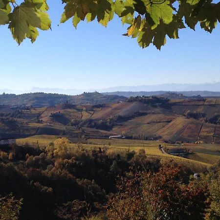 Viasavona46 Nel Cuore Delle Langhe 特雷伊索 外观 照片