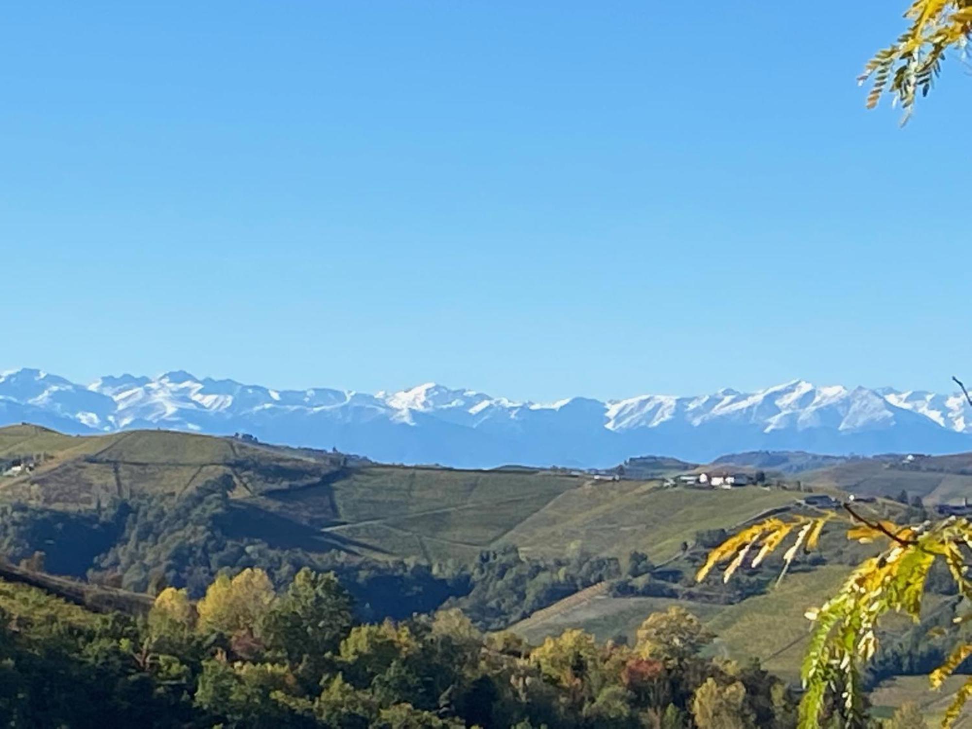 Viasavona46 Nel Cuore Delle Langhe 特雷伊索 外观 照片